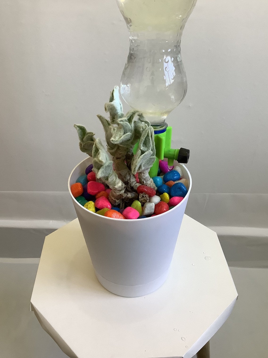 AUTOMATIC WATER DRIP